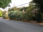 img001.jpeg.small.jpeg