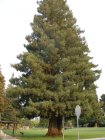 img011.jpeg.small.jpeg