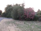 img012.jpeg.small.jpeg