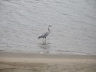 img056.jpeg.small.jpeg