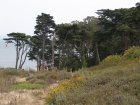 img084.jpeg.small.jpeg