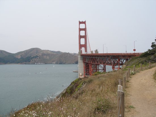 img102.jpeg.medium.jpeg
