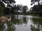 img114.jpeg.small.jpeg