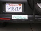 img010.jpeg.small.jpeg