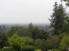 img000.jpeg.small.jpeg