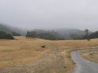 img002.jpeg.small.jpeg