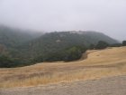 img003.jpeg.small.jpeg