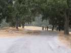 img004.jpeg.small.jpeg