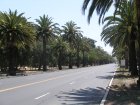 img004.jpeg.small.jpeg
