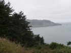 img002.jpeg.small.jpeg
