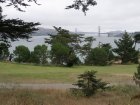 img010.jpeg.small.jpeg