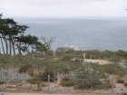 img016.jpeg.small.jpeg