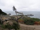 img024.jpeg.small.jpeg