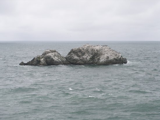 img032.jpeg.medium.jpeg