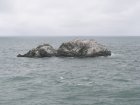 img032.jpeg.small.jpeg