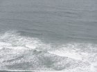 img039.jpeg.small.jpeg