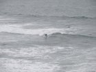 img046.jpeg.small.jpeg