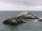 img048.jpeg.small.jpeg