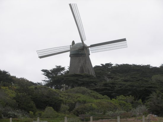 img052.jpeg.medium.jpeg