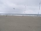 img055.jpeg.small.jpeg
