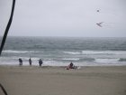 img056.jpeg.small.jpeg