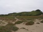 img070.jpeg.small.jpeg