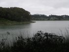 img085.jpeg.small.jpeg