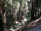 img010.jpeg.small.jpeg
