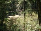 img017.jpeg.small.jpeg