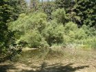 img024.jpeg.small.jpeg