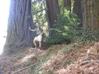 img026.jpeg.small.jpeg