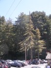 img032.jpeg.small.jpeg