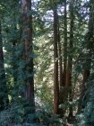 img033.jpeg.small.jpeg