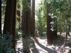 img046.jpeg.small.jpeg