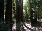img047.jpeg.small.jpeg