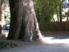 img048.jpeg.small.jpeg