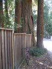 img054.jpeg.small.jpeg