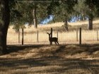 img047.jpeg.small.jpeg