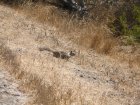 img007.jpeg.small.jpeg