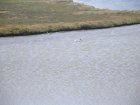 img027.jpeg.small.jpeg