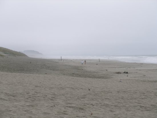 img000.jpeg.medium.jpeg