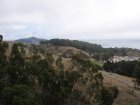 img024.jpeg.small.jpeg