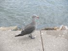 img042.jpeg.small.jpeg