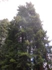 img059.jpeg.small.jpeg