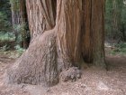 img065.jpeg.small.jpeg