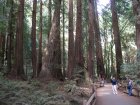 img066.jpeg.small.jpeg