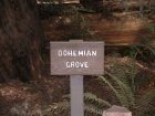 img067.jpeg.small.jpeg