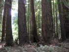 img069.jpeg.small.jpeg