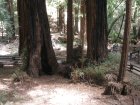 img070.jpeg.small.jpeg