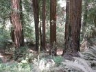 img071.jpeg.small.jpeg